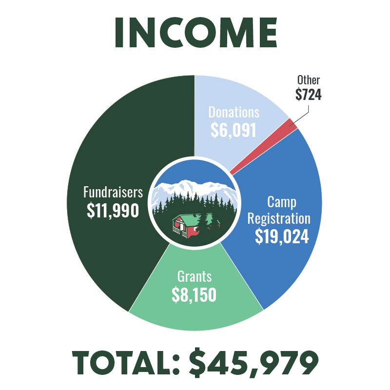 MavisCharts_income